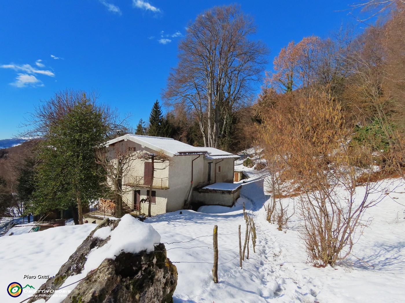 61 La casetta con gli altissimi faggi secolari.JPG